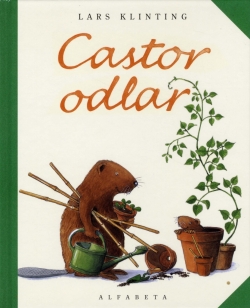 Castor pflanzt Bohnen